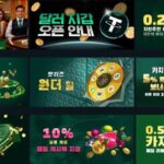 벳위즈 도메인