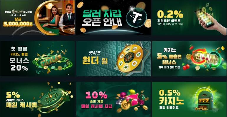 벳위즈 도메인